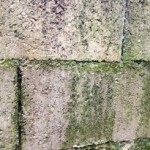 bricolage-traiter-mur-toiture-mousse-algue-lichen-3