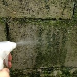 bricolage-traiter-mur-toiture-mousse-algue-lichen-4